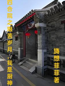 四合院之艰苦岁月，我是厨神