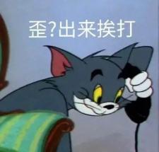 人在原神家猫汤姆