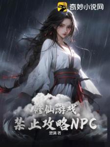 修仙游戏禁止攻略NPC