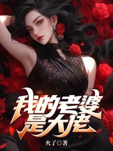 我的老婆是大佬