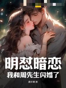 明怼暗恋，我和周先生闪婚了