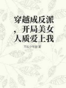 穿越成反派，开局美女人质爱上我